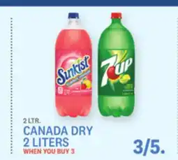 Kings Food Markets CANADA DRY offer