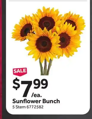 Stop&Shop Sunflower Bunch offer