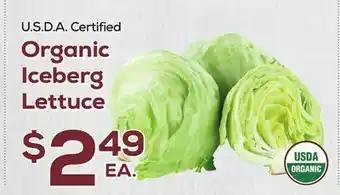 DeCicco & Sons Organic Iceberg Lettuce offer