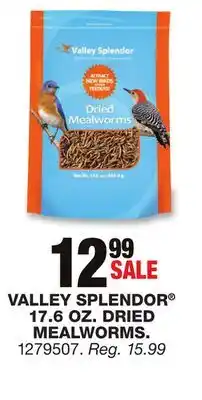 Blain's Farm & Fleet VALLEY SPLENDOR 17.6 OZ. DRIED MEALWORMS offer