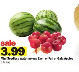 Meijer Mini Seedless Watermelons Each or Fuji or Gala Apples offer