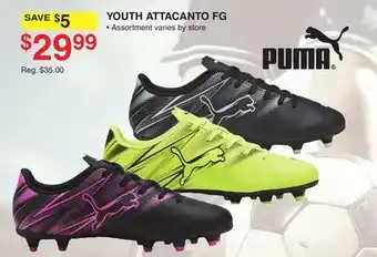 Dunham's Sports PUMA YOUTH ATTACANTO FG offer