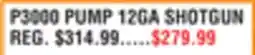 Dunham's Sports STOEGER P3000 PUMP 12GA SHOTGUN offer