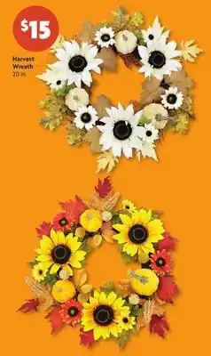 Family Dollar Harvest Wreath offer
