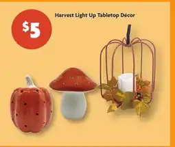 Family Dollar Harvest Light Up Tabletop Décor offer