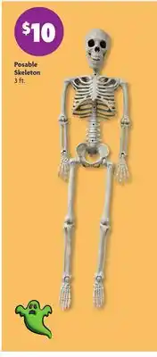 Family Dollar Posable Skeleton offer