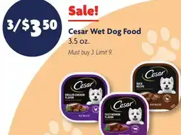 Family Dollar Cesar Wet Dog Food offer
