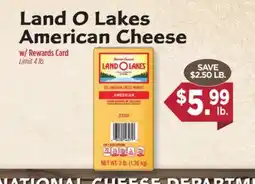 Dearborn Market Land O Lakes American Cheese offer