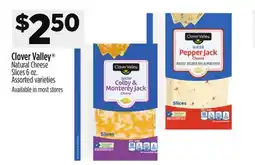 Dollar General Clover Valley Natural Cheese Slices offer