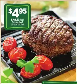 Dollar General Fresh Ground Beef offer