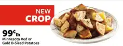 Fareway Minnesota Red or Gold B-Sized Potatoes offer