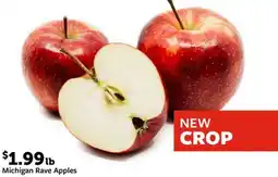 Fareway Michigan Rave Apples offer