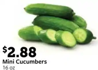 Fareway Mini Cucumbers offer