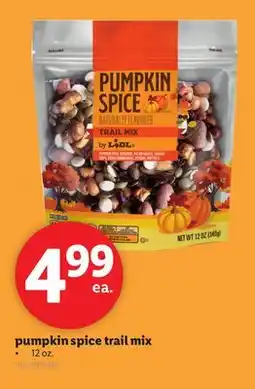 Lidl pumpkin spice trail mix offer