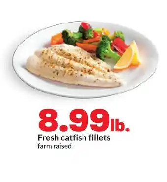 Hy-Vee Fresh catfish fillets offer