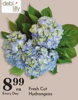 Pavilions Fresh Cut Hydrangeas offer