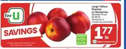 Albertsons Large Yellow Peaches or Nectarines offer