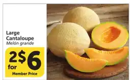 Albertsons Large Cantaloupe offer