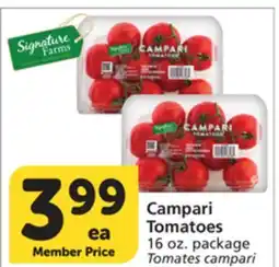 Albertsons Campari Tomatoes offer