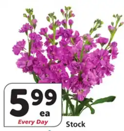 Albertsons Stock offer
