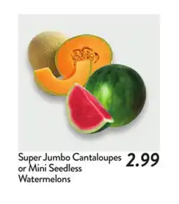 Fresh Thyme Super Jumbo Cantaloupes or Mini Seedless Watermelons offer
