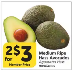 Vons Medium Ripe Hass Avocados offer