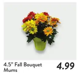 Fresh Thyme 4.5 Fall Bouquet Mums offer