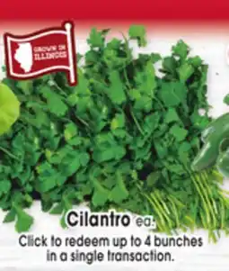 Jewel-Osco Cilantro offer