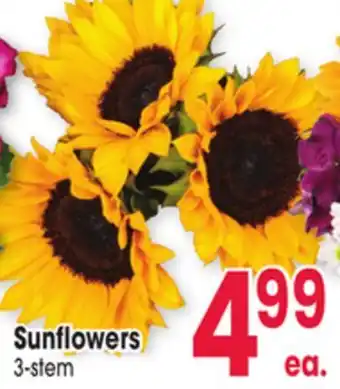 Jewel-Osco Sunflowers offer