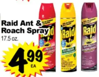 Superior Grocers Raid Ant & Roach Spray offer