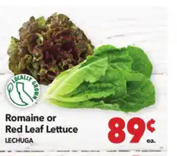 Vallarta Supermarkets Romaine or Red Leaf Lettuce / LECHUGA offer
