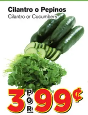 El Super Fresh Cilantro or Cucumbers offer