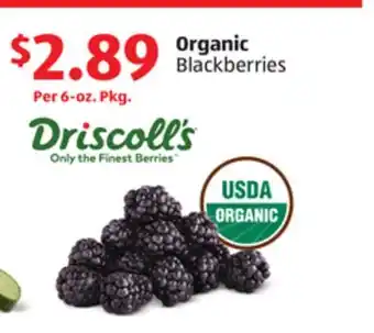Aldi Organic Blackberries offer