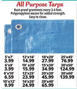 Ocean State Job Lot Tarps offer