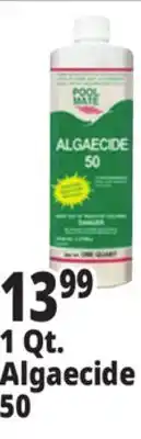 Ocean State Job Lot 1 Qt. Algaecide 50 offer