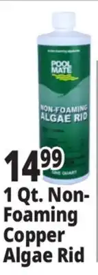 Ocean State Job Lot Pool Mate Non-Foaming Algae Rid 1 Qt offer