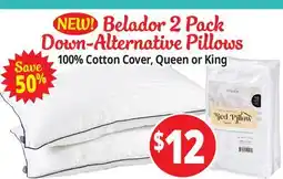Ocean State Job Lot Belador 2 Pack Down-Alternative Pillows offer
