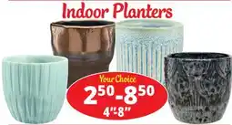 Ocean State Job Lot Indoor Planters offer