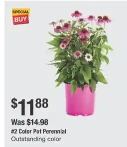 The Home Depot #2 Color Pot Perennial offer