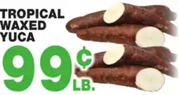 Bravo Supermarkets TROPICAL WAXED YUCA offer