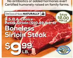 DeCicco & Sons Boneless Sirloin Steak offer