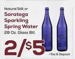 DeCicco & Sons Saratoga Sparkling Spring Water offer