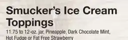 The Fresh Grocer Ice Cream Toppings offer