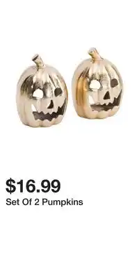TJ Maxx Set Of 2 Pumpkins offer