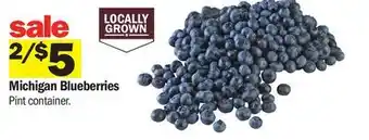 Meijer Michigan Blueberries offer