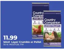 Runnings Layer Crumble or Pellet offer