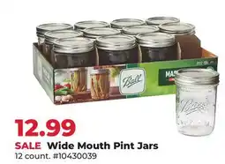 Runnings Wide Mouth Pint Jars offer