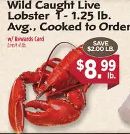 Dearborn Market Wild Caught Live Lobster offer