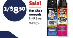 Family Dollar Hot Shot Aerosols offer