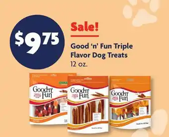 Family Dollar Good'n'Fun Triple Flavor Dog Treats offer